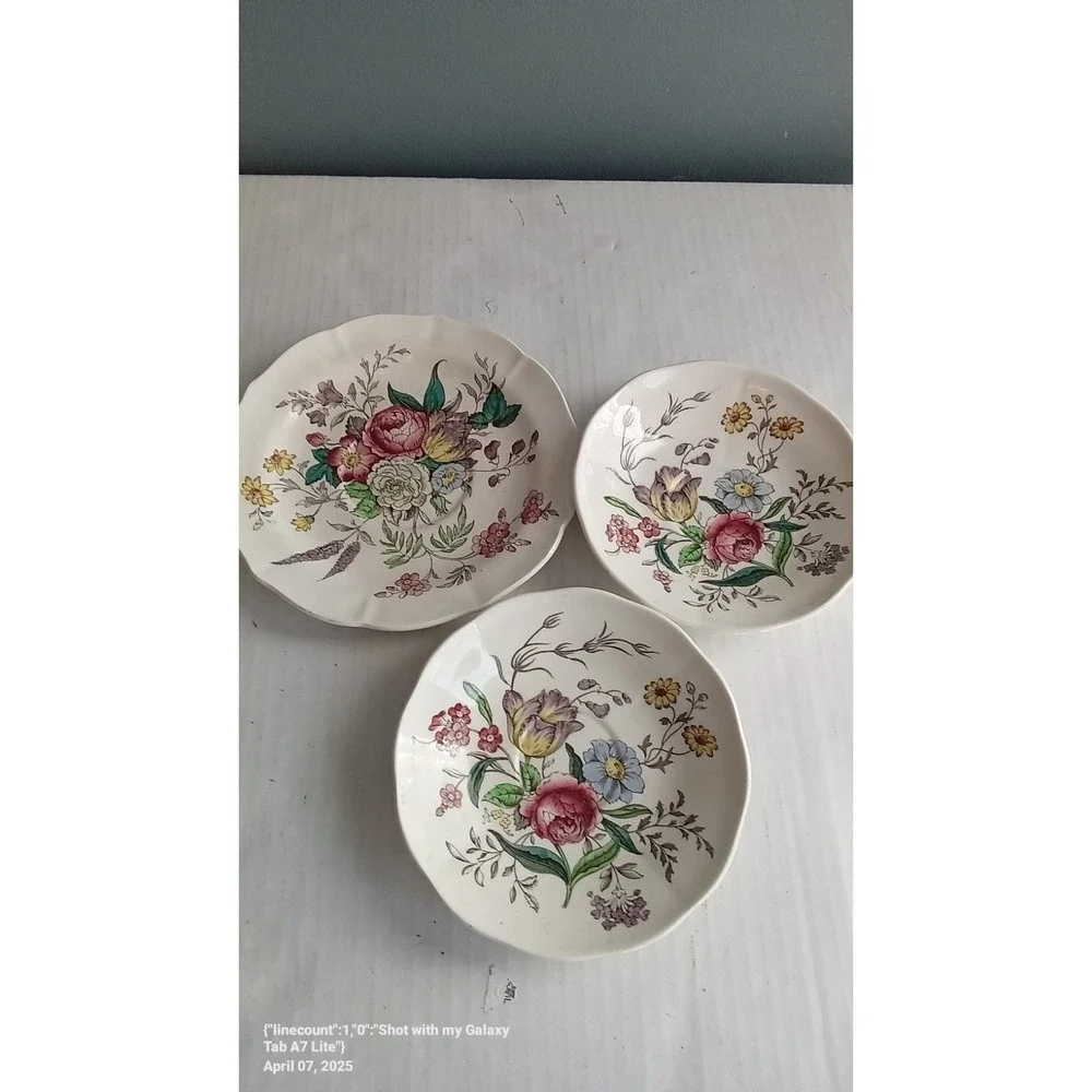 Royal Horticultural Society Plates‎ Set Floral Fruit Decorative Dishes